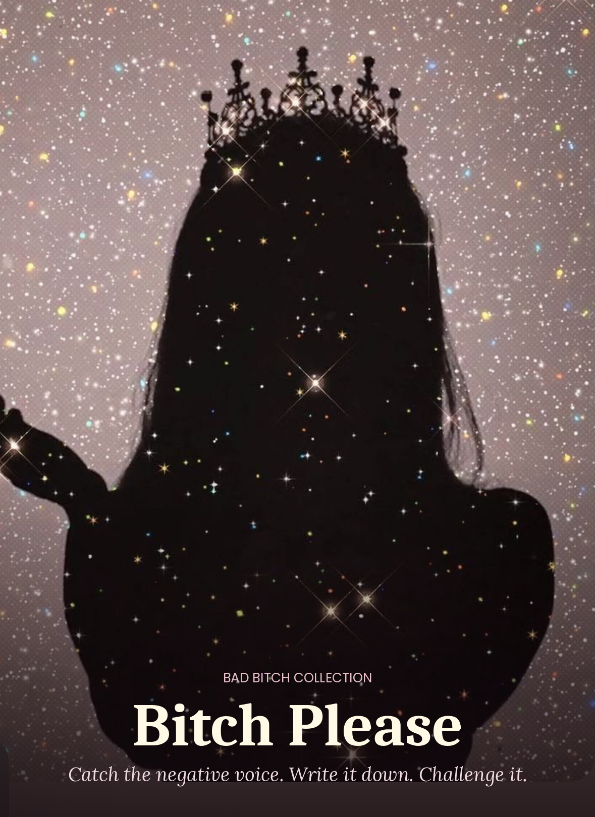 Bitch Please journal cover