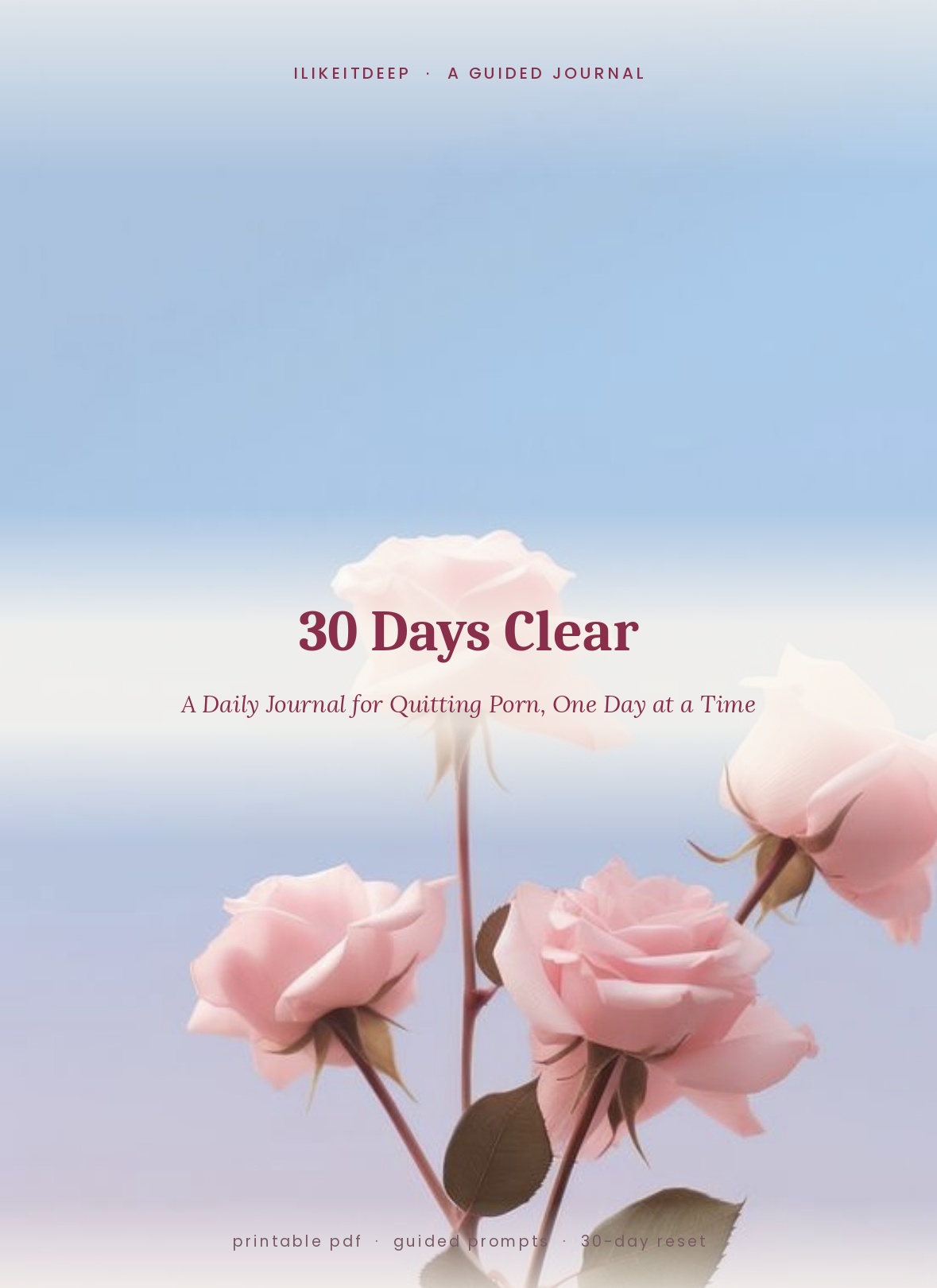 30 Days Clear journal cover