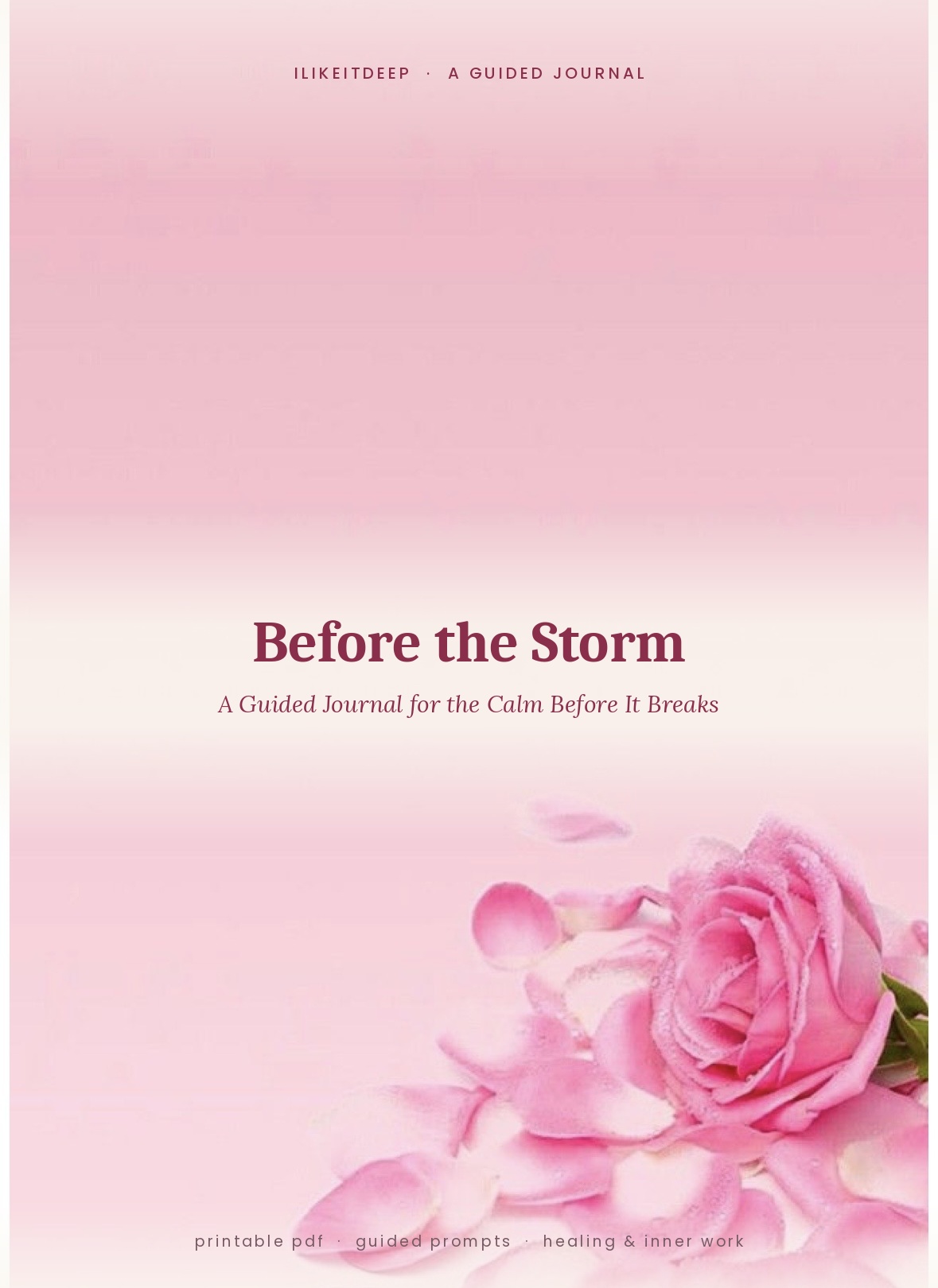 Before the Storm journal cover