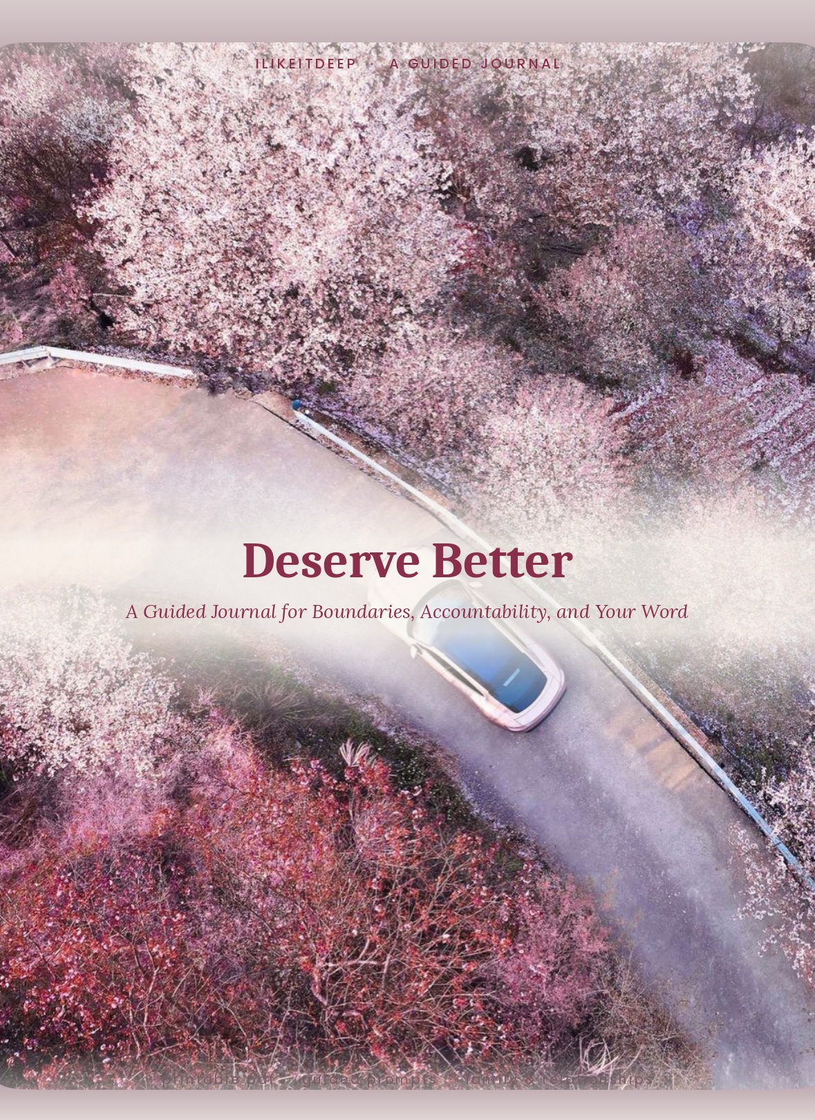Deserve Better cover