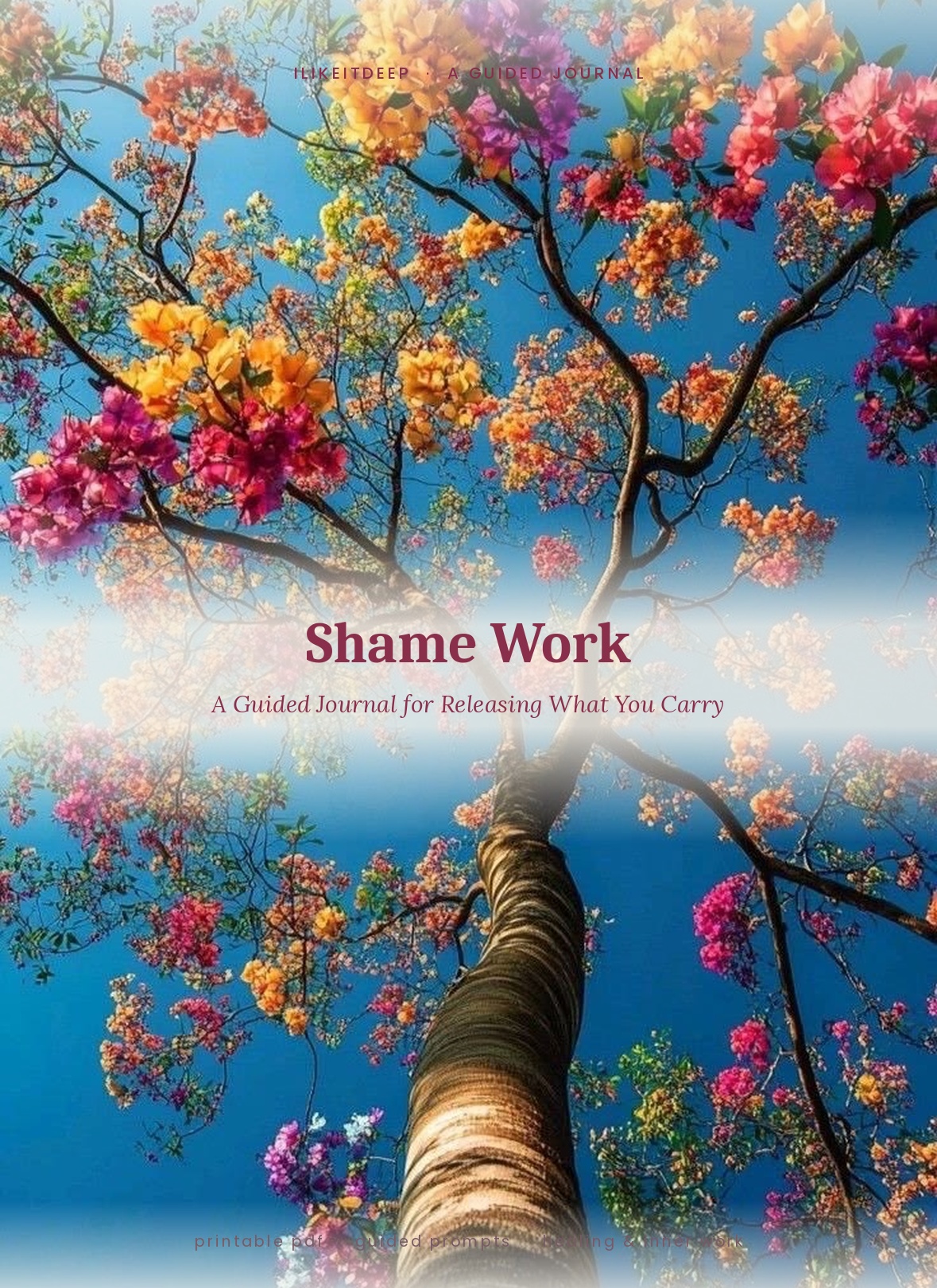 Shame Work cover