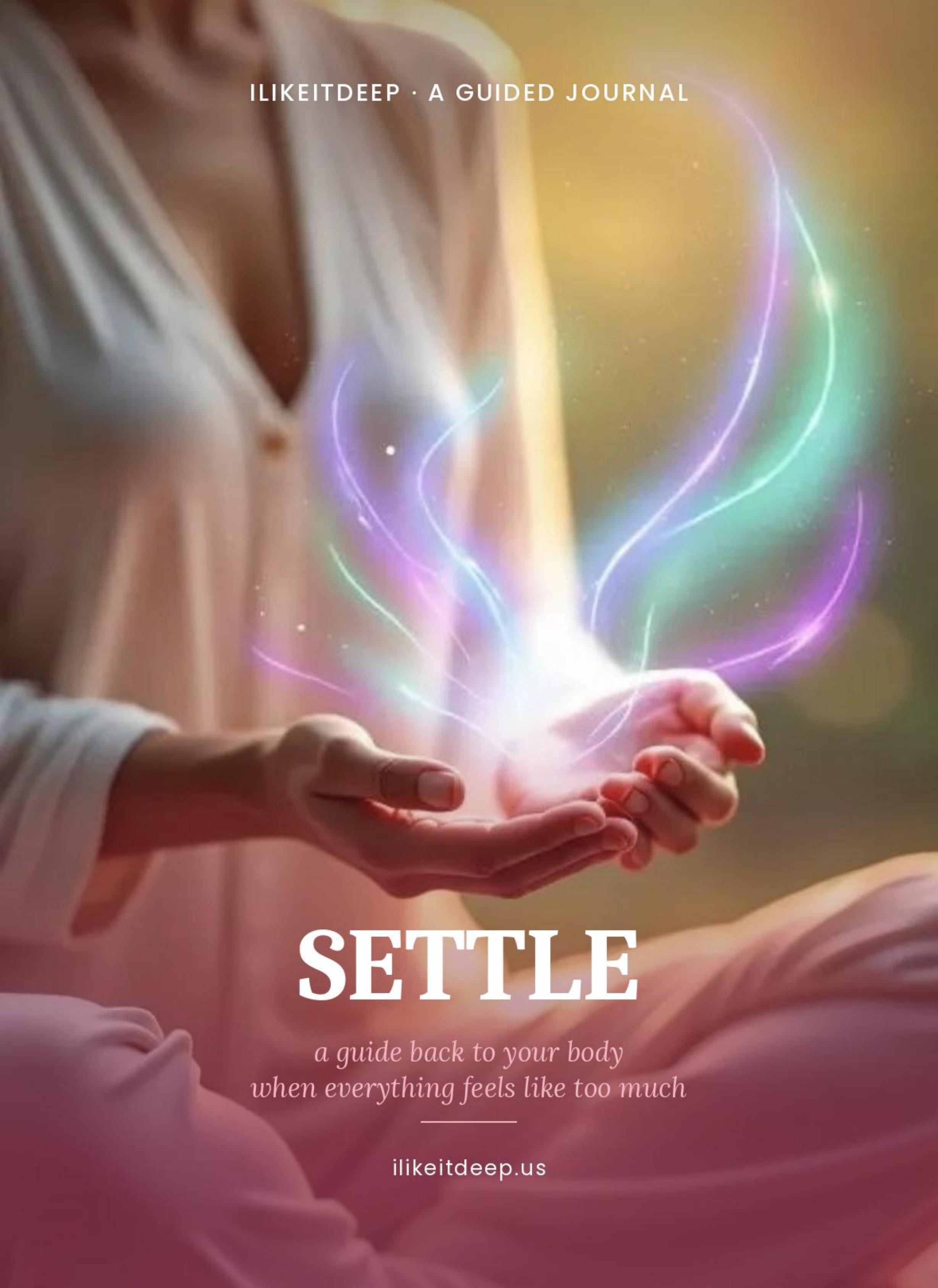Settle journal cover