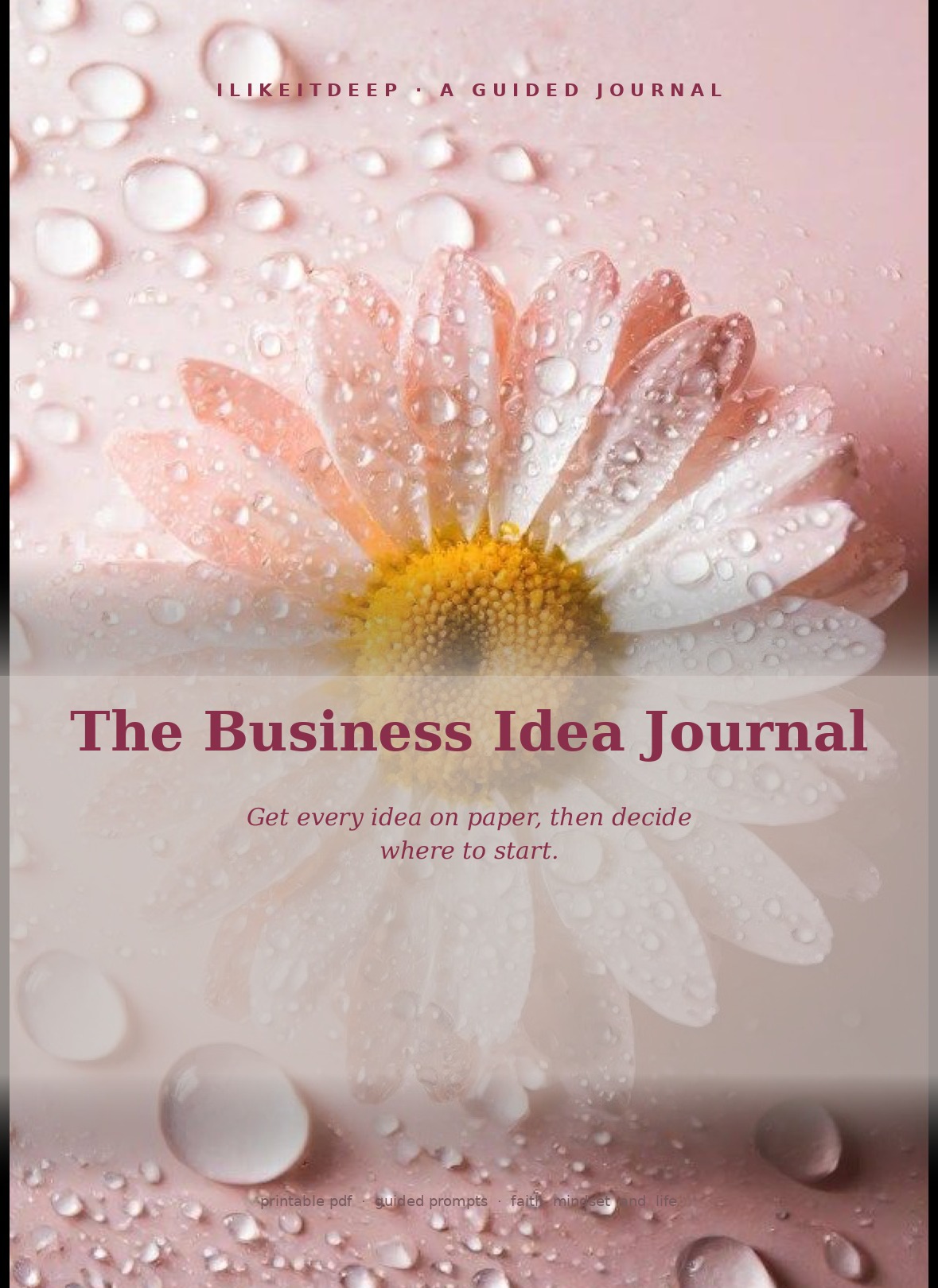 The Business Idea Journal journal cover