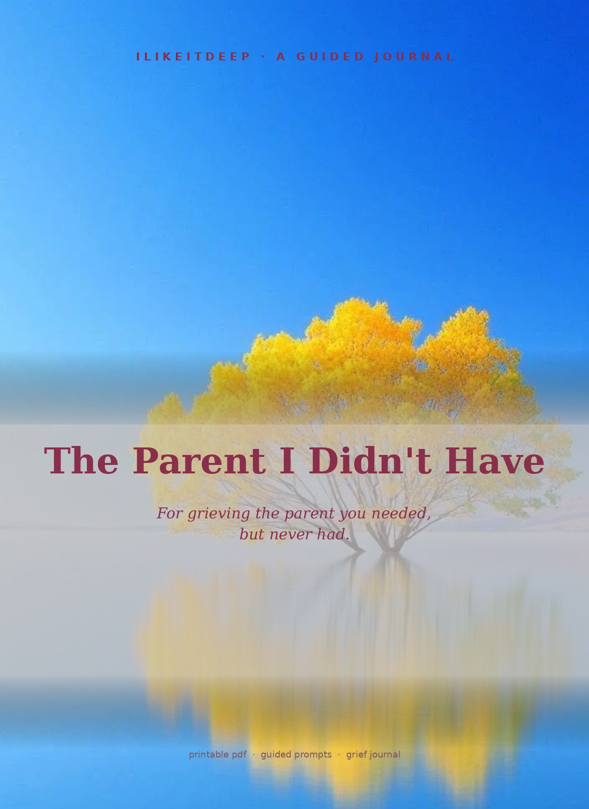 The Parent I Didn't Have journal cover