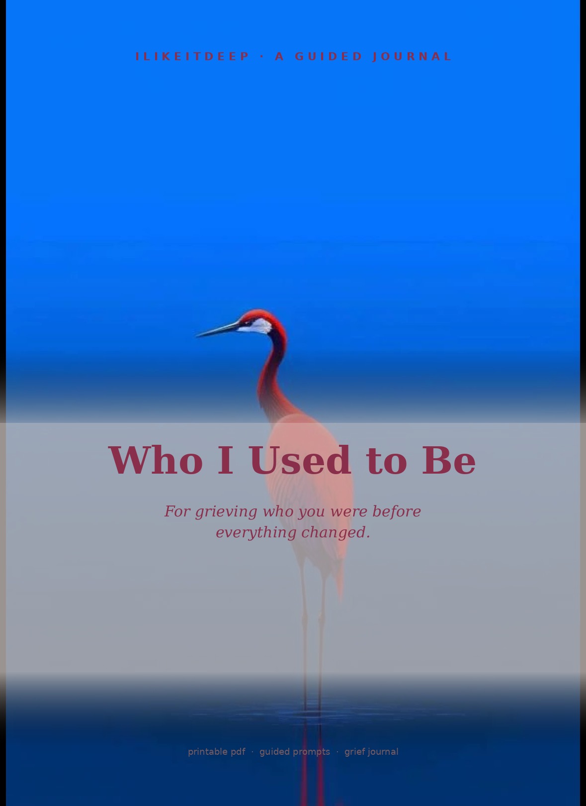 Who I Used to Be cover