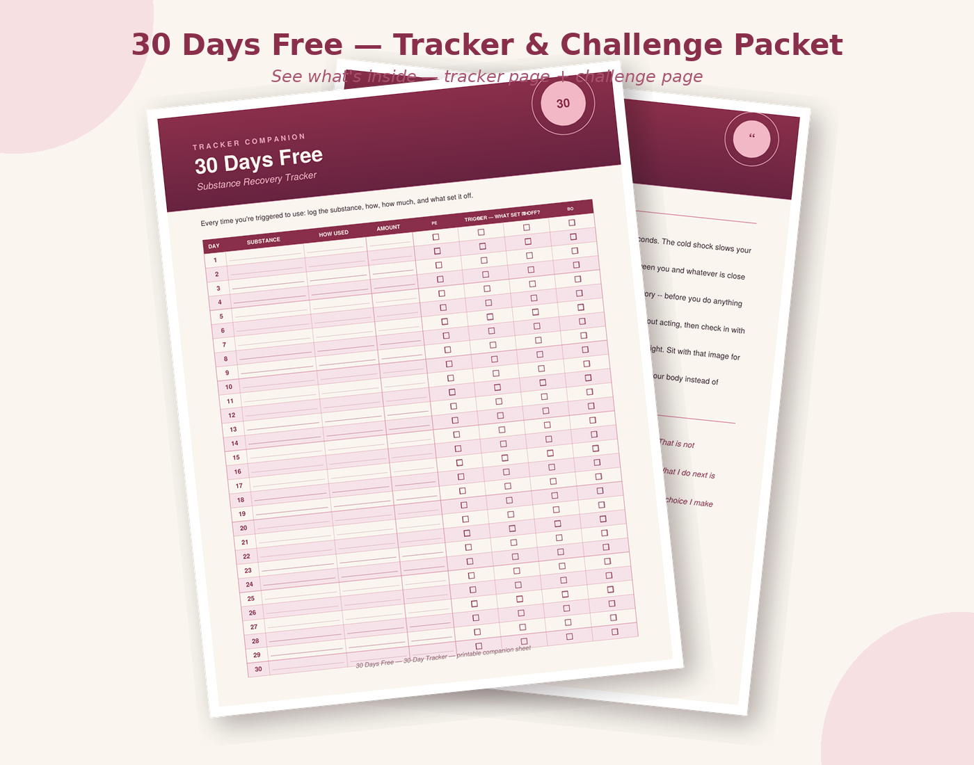 Preview of the 30-days-free-packet tracker and challenge pages